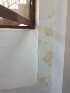 3e6750cf-88fd-4040-ba18-fa1fdffa3b51