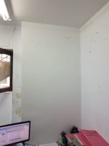 8b0e3d07-1a6c-408d-a4b8-d5fda3bef4b5