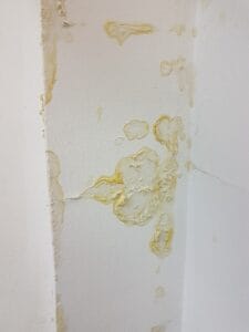 99e498c9-2759-4dad-83a8-810966c19988