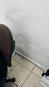 cdc0295b-3b94-4ce8-ac0f-ea3d6a7892e1