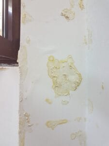 f1e957f6-348a-4cdc-9080-4cd9d8458794