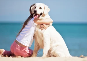 Hotel_Favorit_Pet_Friendly_hotel